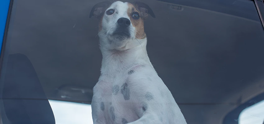 Car Lockout Solutions in Lynwood, California